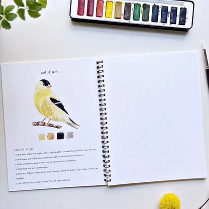 CalmCanvas | Create Calm With Every Brushstroke