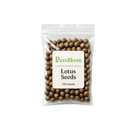 PureBloom | Sacred Bonsai Lotus Seeds (Mix)