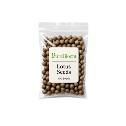 PureBloom | Sacred Bonsai Lotus Seeds (Mix)