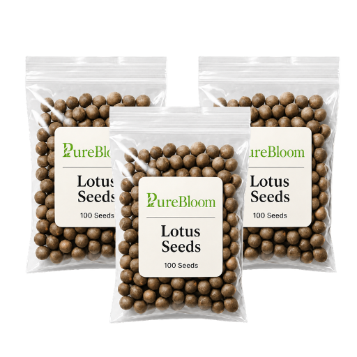 PureBloom | Sacred Bonsai Lotus Seeds (Mix)