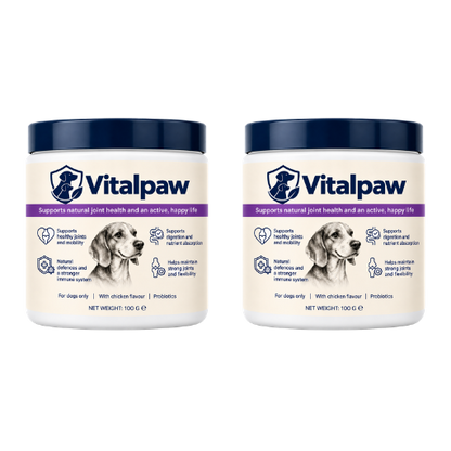 Vitalpaw | Help Support Your Dog’s Immune System in Just 4 Weeks