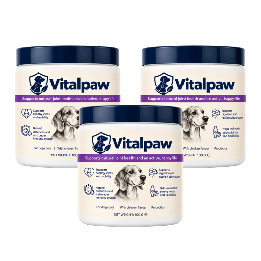 Vitalpaw | Help Support Your Dog’s Immune System in Just 4 Weeks