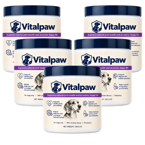 Vitalpaw | Help Support Your Dog’s Immune System in Just 4 Weeks