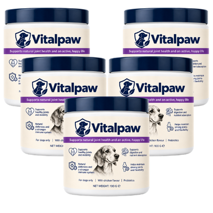 Vitalpaw | Help Support Your Dog’s Immune System in Just 4 Weeks