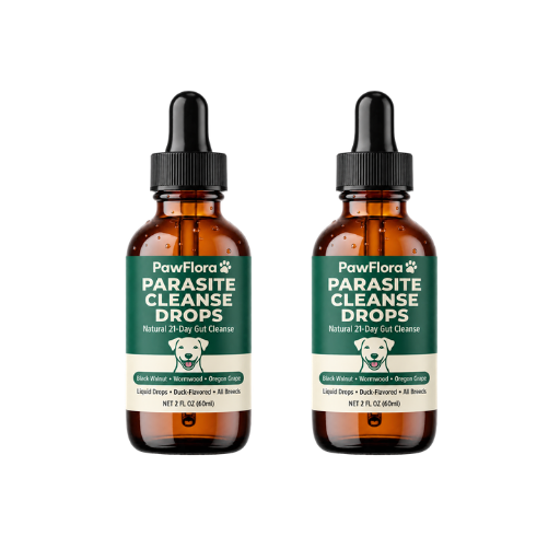 PawFlora Gut Cleanse Drops | Stop Chronic Scratching And Paw Licking Within 2 Weeks