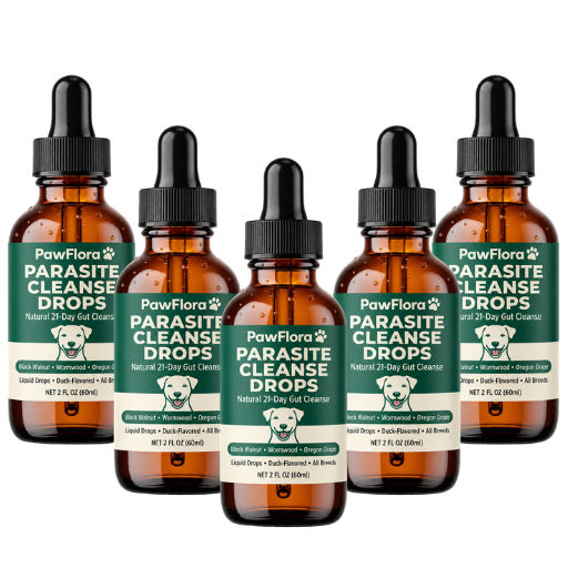 PawFlora Gut Cleanse Drops | Stop Chronic Scratching And Paw Licking Within 2 Weeks
