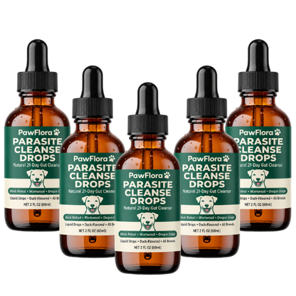 PawFlora Gut Cleanse Drops | Stop Chronic Scratching And Paw Licking Within 2 Weeks