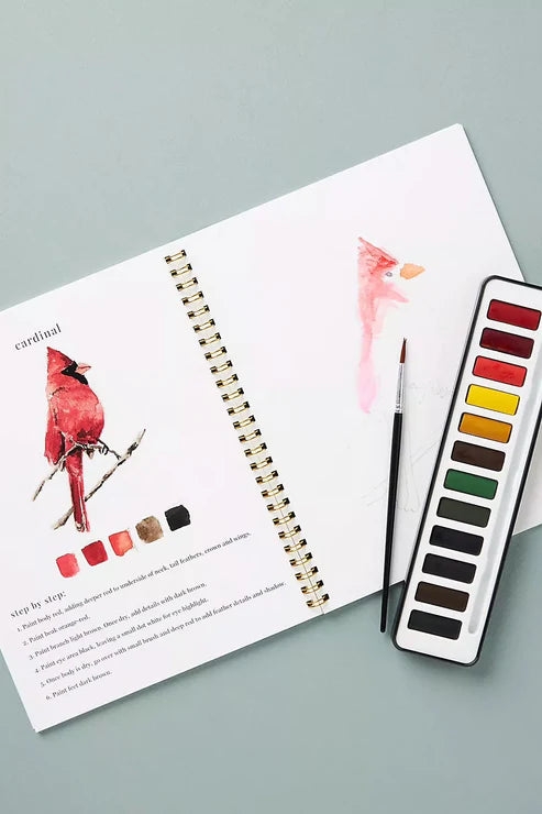 CalmCanvas | Create Calm With Every Brushstroke