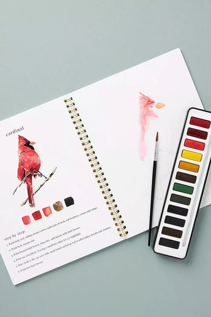 CalmCanvas | Create Calm With Every Brushstroke