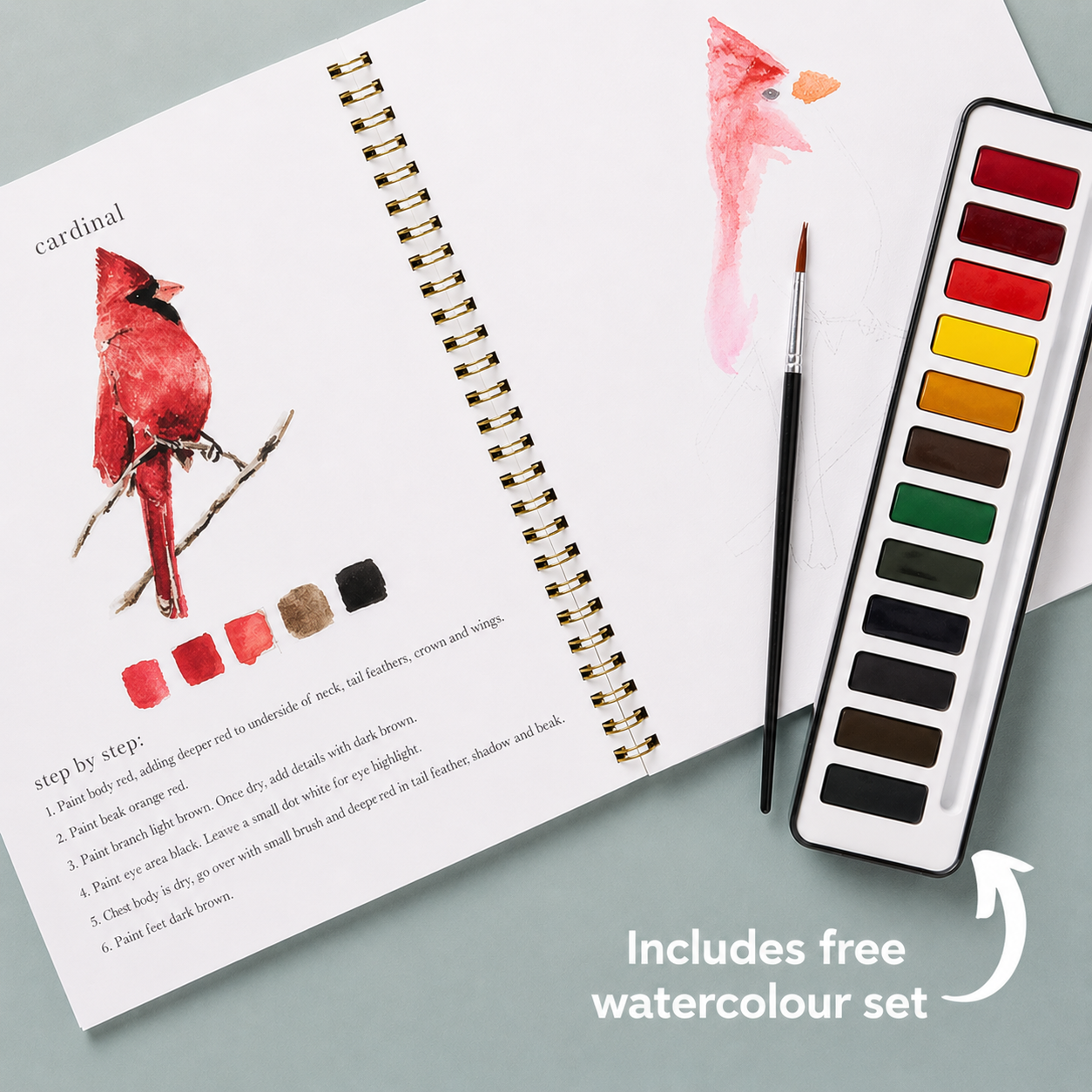 CalmCanvas | Create Calm With Every Brushstroke