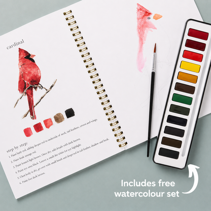 CalmCanvas | Create Calm With Every Brushstroke