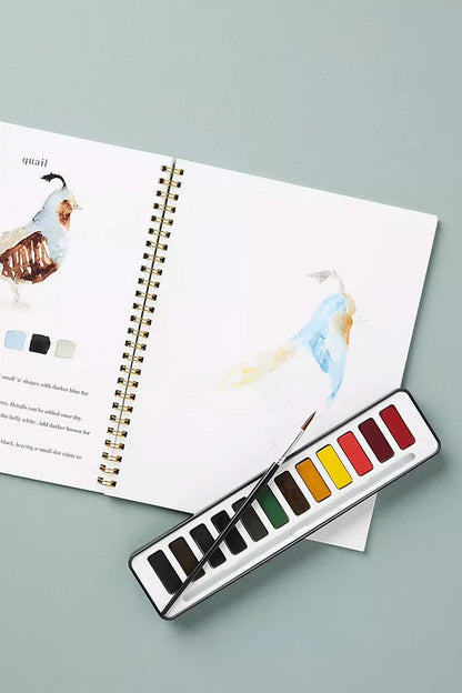 CalmCanvas | Create Calm With Every Brushstroke