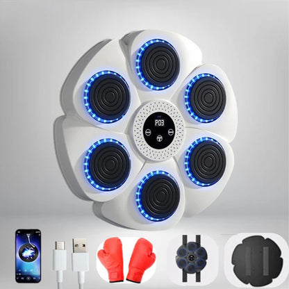 BoxFit Pro | Active Fun For The Whole Family!